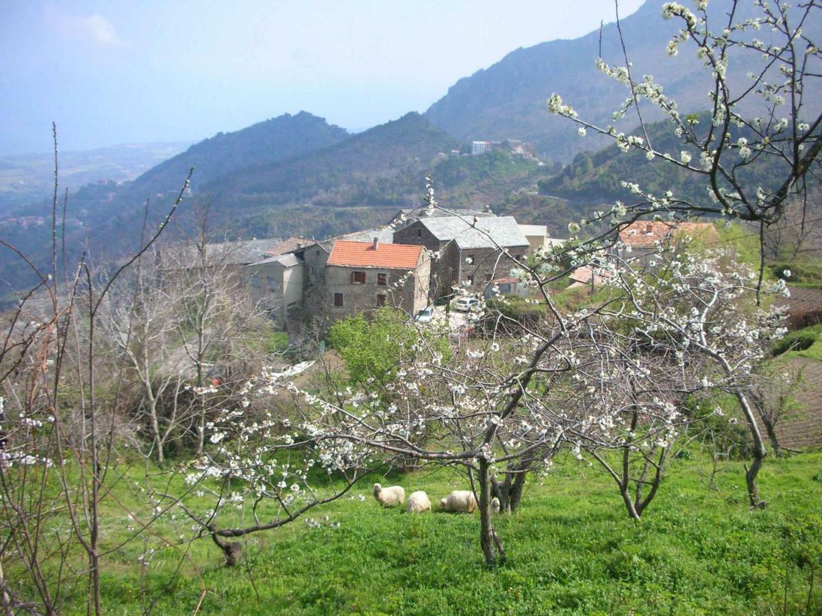 דירות San-Giovanni-di-Moriani Sole E Ventu 50Qm מראה חיצוני תמונה