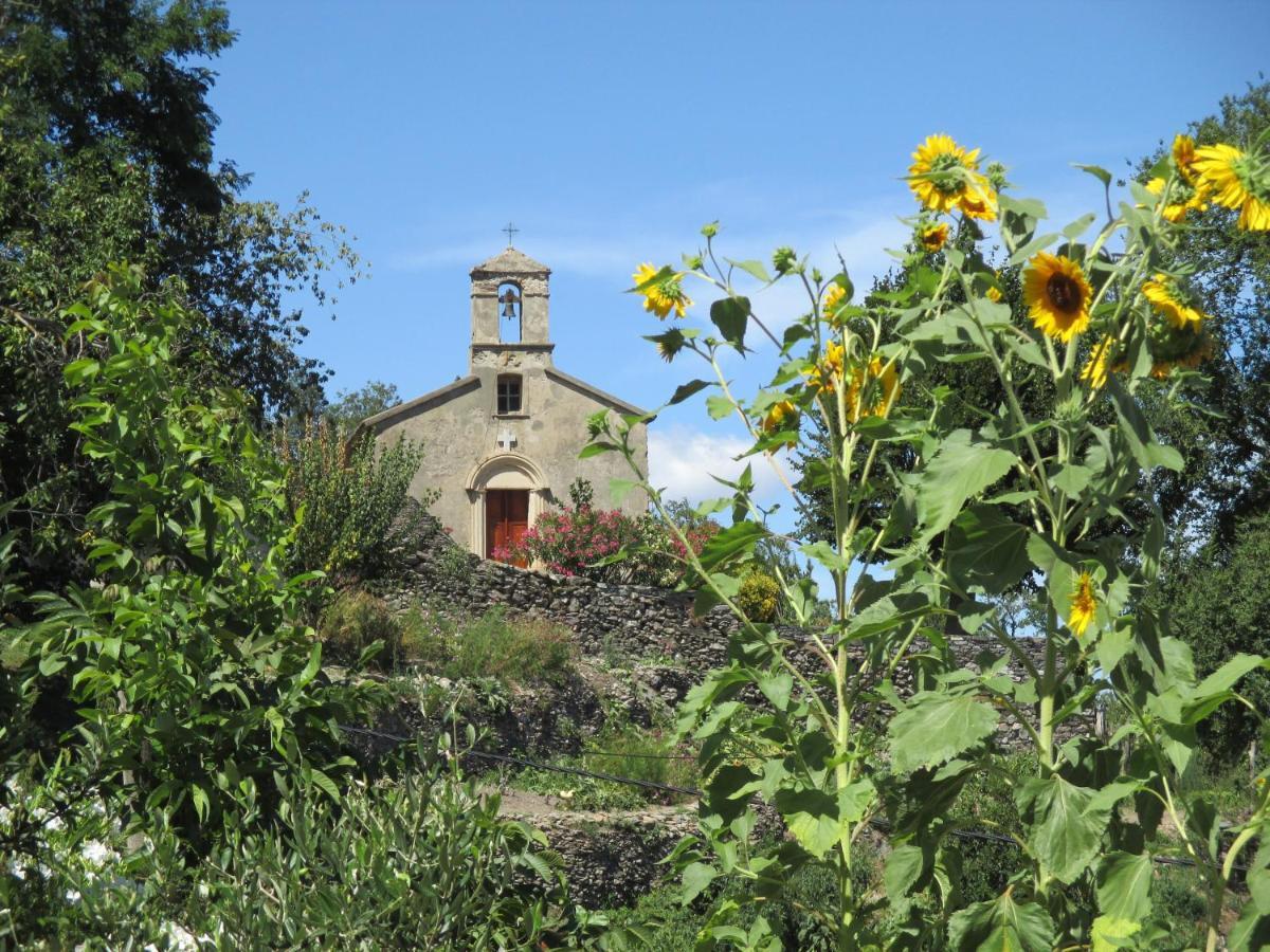 דירות San-Giovanni-di-Moriani Sole E Ventu 50Qm מראה חיצוני תמונה